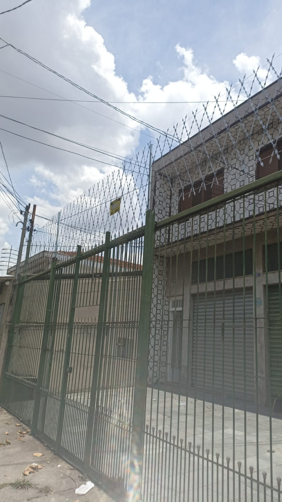 imagem_2024-12-11_203231740