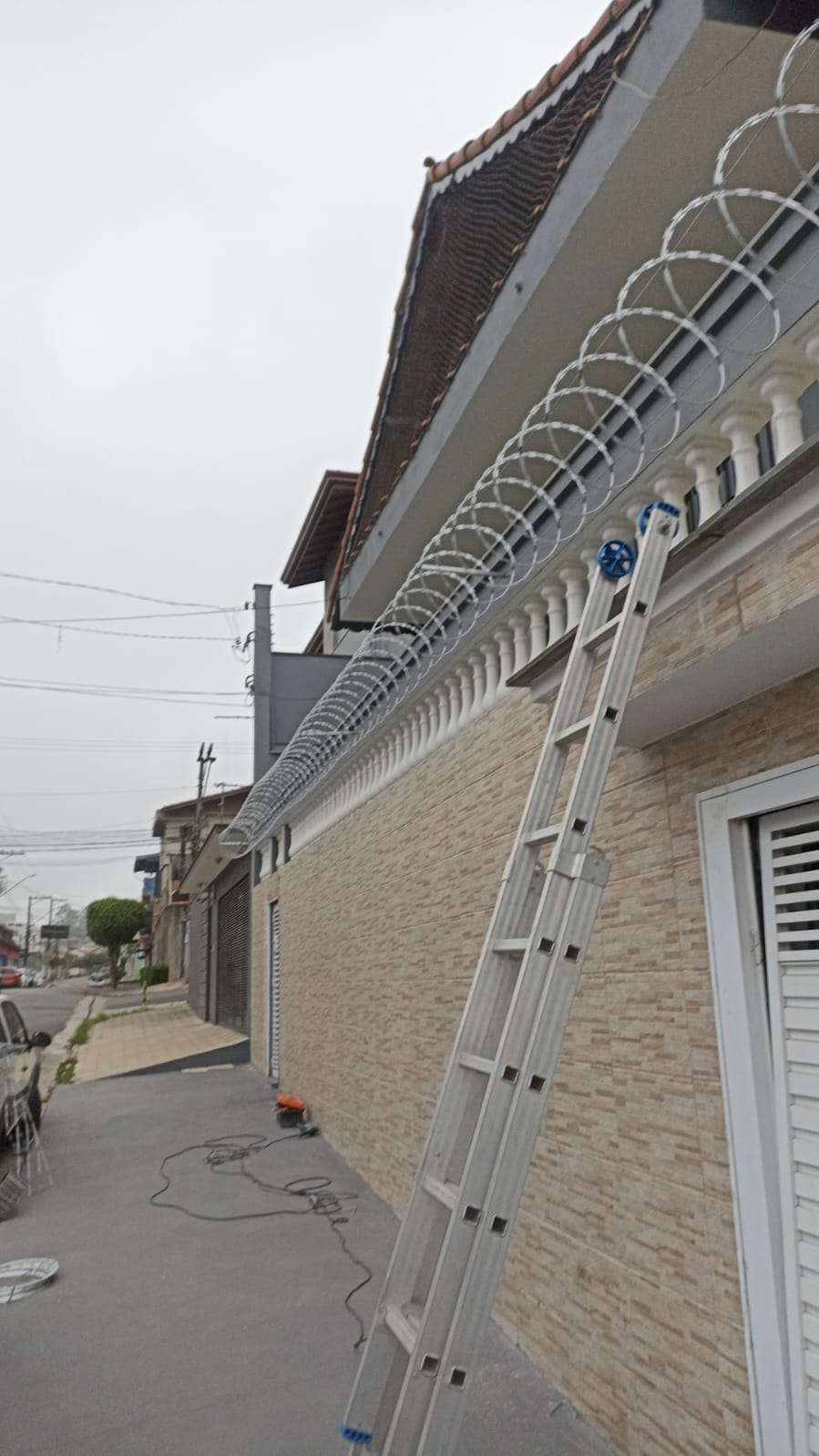 imagem_2024-12-11_203332745